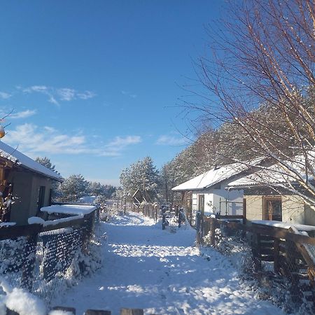 Chatki U Patki Lebieniec Exterior foto