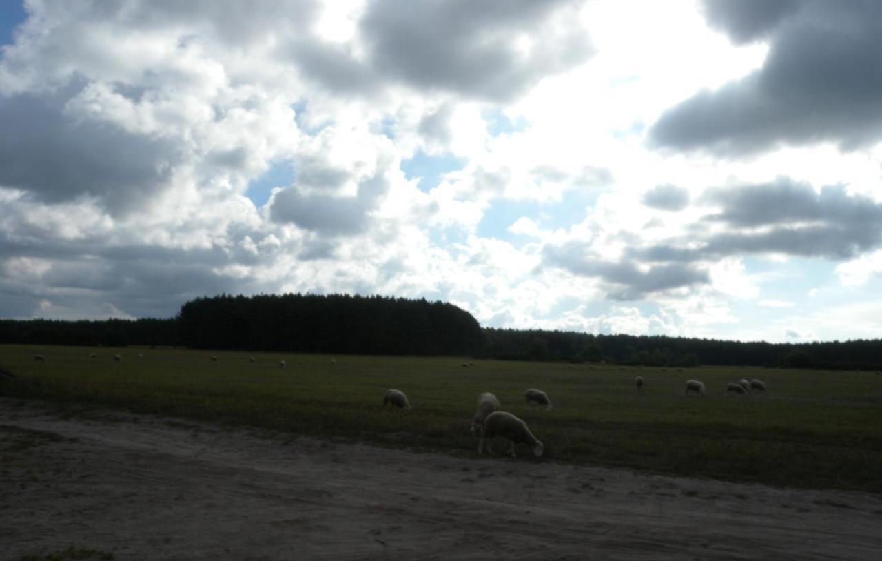 Chatki U Patki Lebieniec Exterior foto