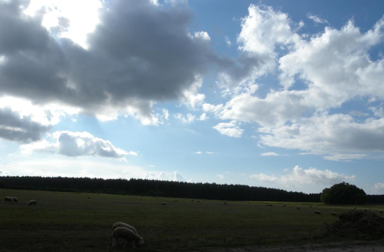 Chatki U Patki Lebieniec Exterior foto